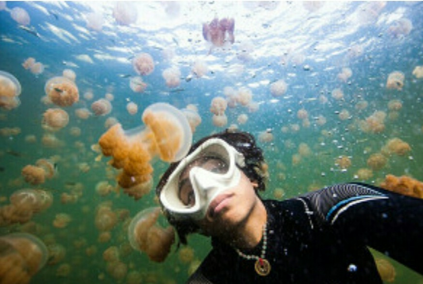 Snorkling di Pulau Harapan Travelpulauseribu.co.id