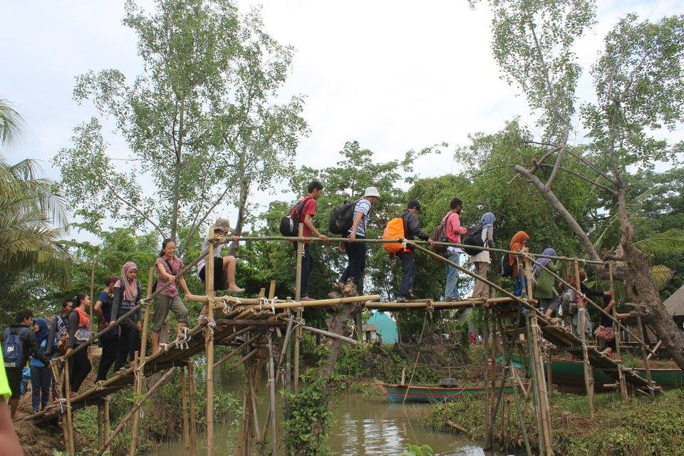 menanam mangrove backpacker jakarta 5
