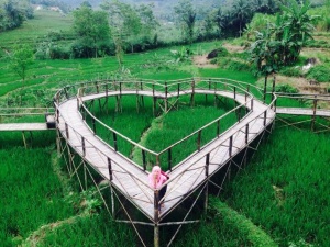 Jembatan Cinta! Primadona Instagram di Purbalingga