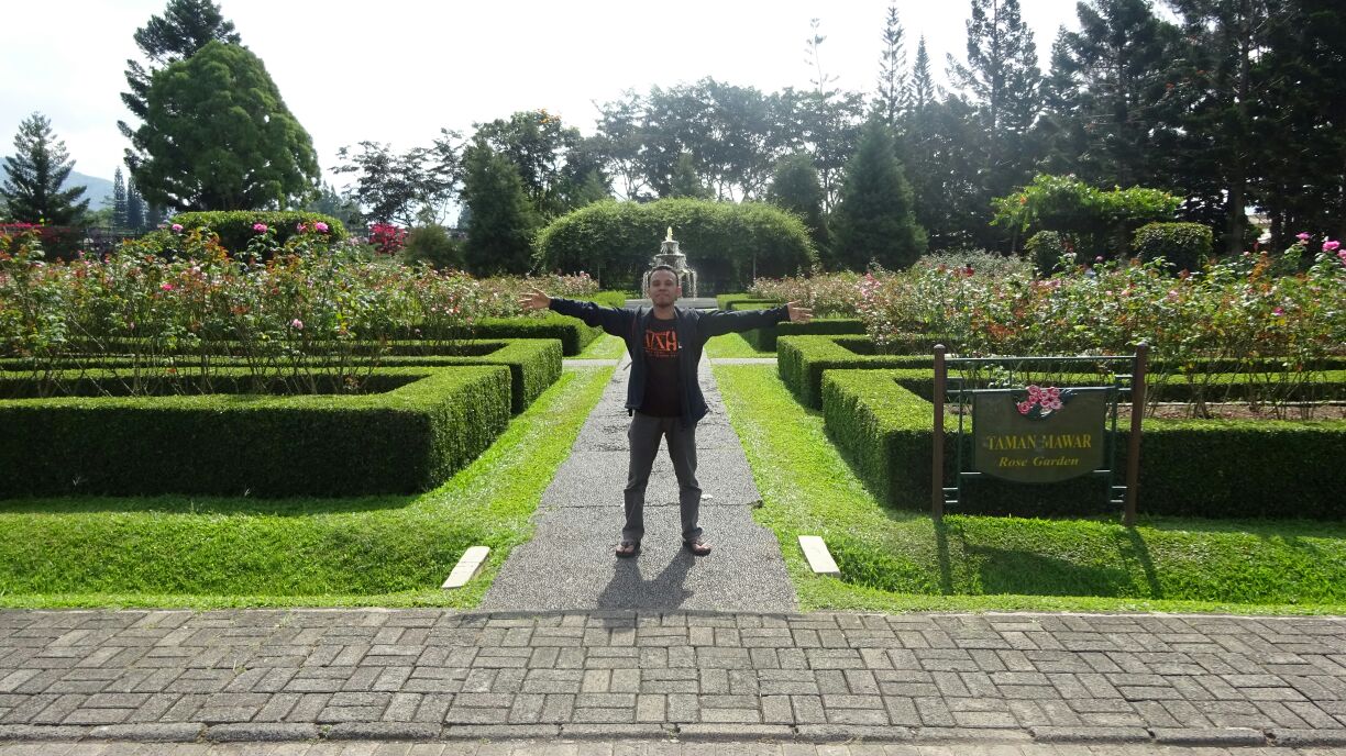 Taman Mawar