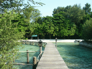 Pulau Kotok Kepulauan Seribu