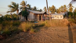 Mengenal Lebih Dekat Pesona Desa Tonggurambang, Nusa Tenggara Timur