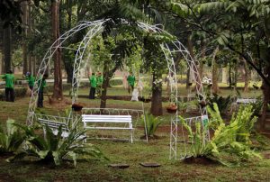 Taman Langsat, Tempat Terbaik untuk Menikmati Kesunyian Jakarta
