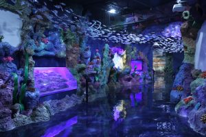 Wow, Aquarium Raksasa ini ada di Mall Jakarta