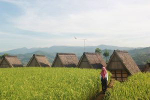 7 Perkampungan Adat yang bisa kamu Kunjungi Selain Suku Baduy