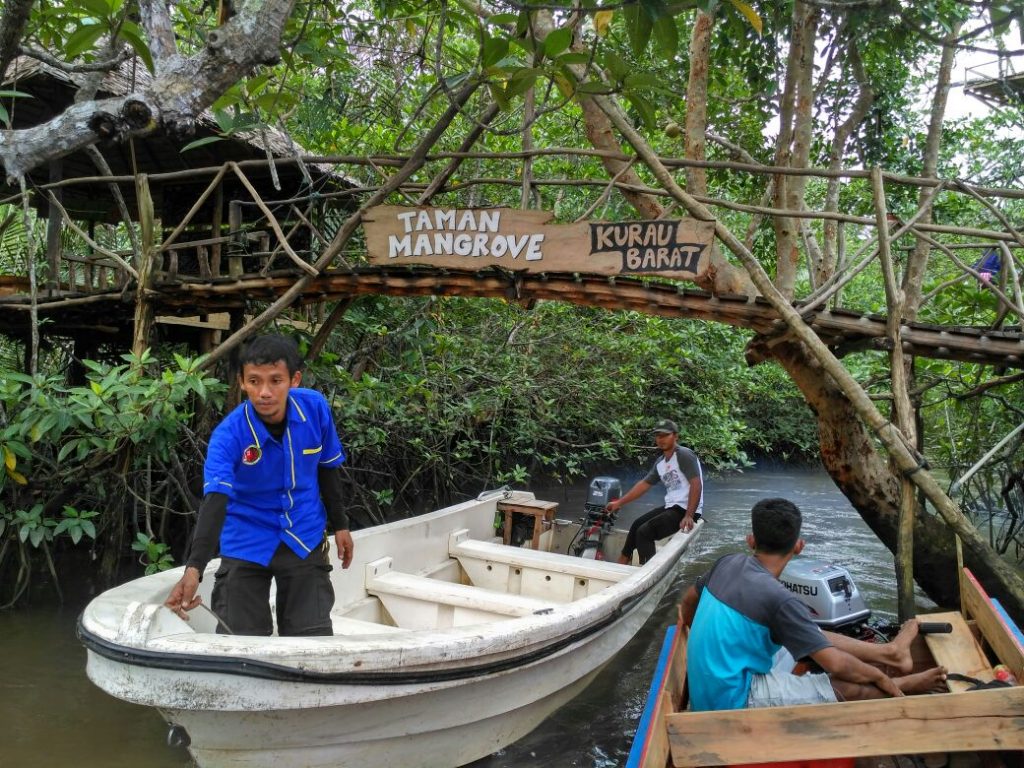 bersiap untuk pulang dari Hutan mangrove Munjang kurau barat Bangka