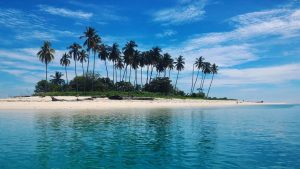 Pulau Manimbora, Pulau Spongebobnya Indonesia