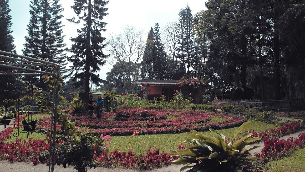 Taman Bunga di The Pinewood Lodge (Credit @_raahmaaa)