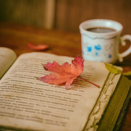 6 Rekomendasi Tempat Membaca Buku