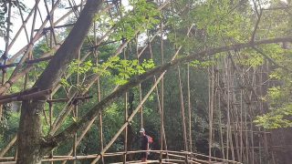 jembatan bambu di baduy