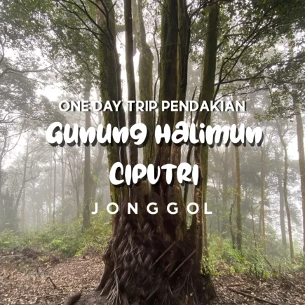 Pendakian Gunung Halimun Ciputri Jonggol