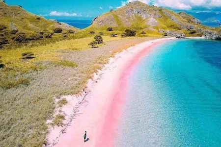 Pantai Pink Pulau Padar